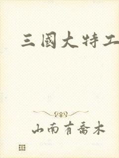 三国大特工