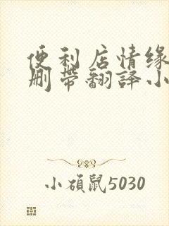 便利店情缘未增删带翻译小说封面