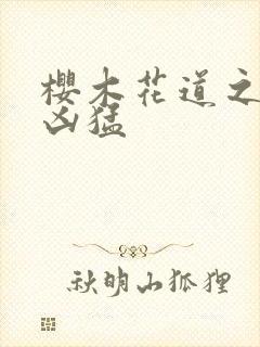 樱木花道之重生凶猛