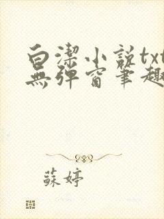 白洁小说txt无弹窗笔趣阁