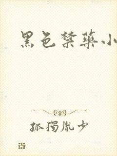 黑色禁药小说封面