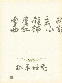 雪鹰领主 我吃西红柿 小说