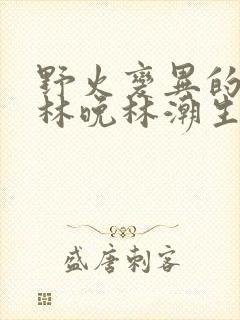野火变异的父爱林晚林潮生