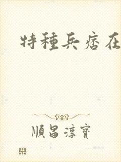 特种兵痞在都市封面