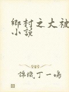 乡村之大被同眠小说