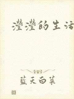 滢滢的生活日记