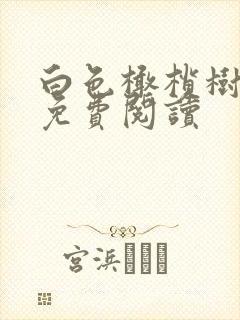 白色橄榄树全文免费阅读