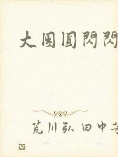 大团圆闪闪发光封面