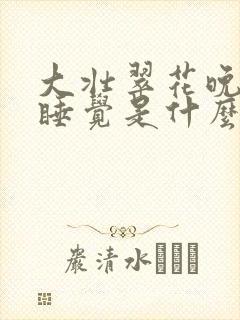 大壮翠花晚上不睡觉是什么电视剧