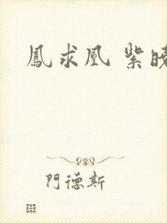 凤求凰 紫晓封面