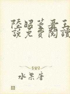 陆昭菱晋王的小说免费阅读封面