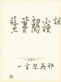 苏若初小说全文免费阅读