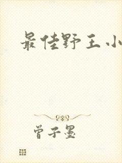 最佳野王小说封面