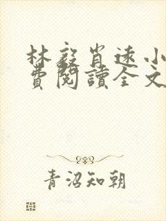 林毅肖远小说免费阅读全文最新章节封面