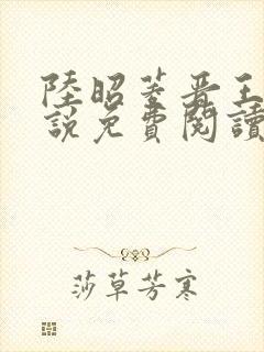 陆昭菱晋王的小说免费阅读