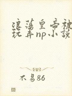 浪荡皇帝被多人玩弄np小说