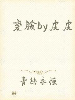 变脸by皮皮虾封面