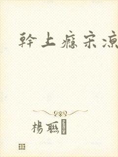 干上瘾宋凉向周封面