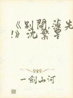 《别闹,薄先生!》沈繁星