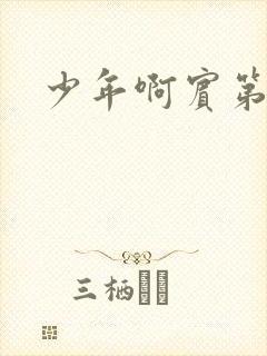 少年啊宾第二部