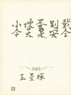 小坏蛋别戴套了今天是安全期封面