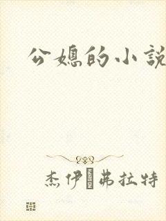 公媳的小说封面