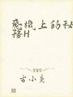 飞机上的秘密服务H