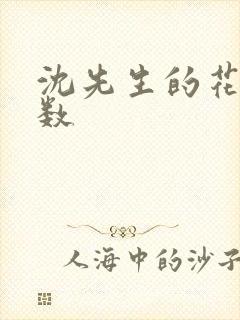 沈先生的花式调数