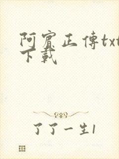 阿宾正传txt下载