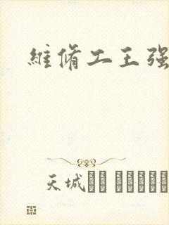 维修工王强张婷