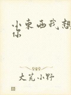 小东西我想弄坏你