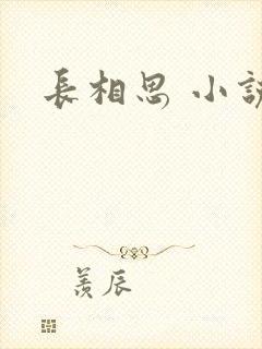 长相思 小说