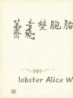 第章双胞胎姐妹齐飞