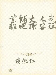 首辅大人我们和离吧谢容珏