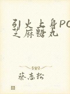 引火上身POP芝麻糖丸