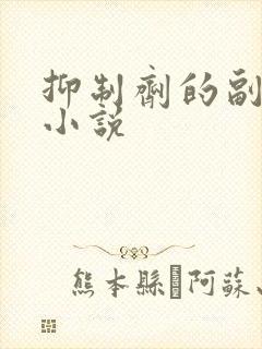 抑制剂的副作用小说封面