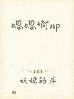嗯嗯啊np