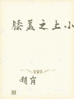 膝盖之上小说封面