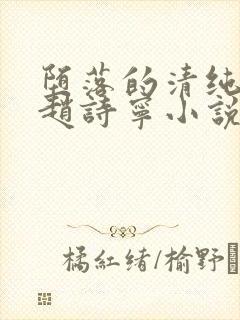 堕落的清纯校花赵诗宁小说免费阅读