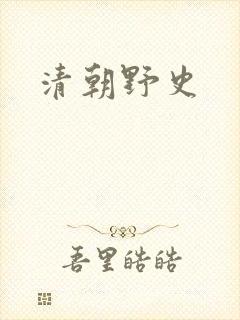 清朝野史封面