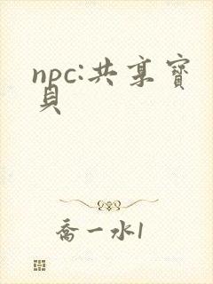 npc:共享宝贝