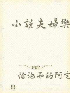 小说夫妇乐园