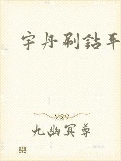 宇丹刷钻平台封面