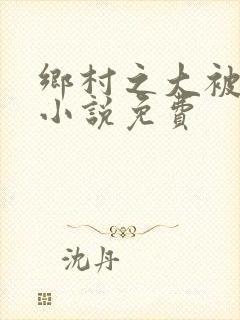 乡村之大被同眠小说免费封面