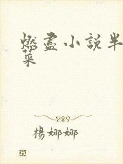 燃尽小说半截白菜封面