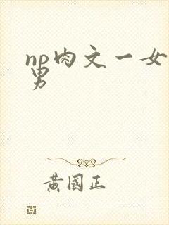 np肉文一女多男