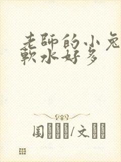 老师的小兔子好软水好多