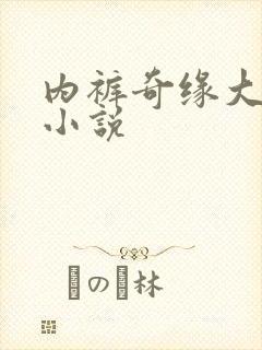 内裤奇缘大团结小说