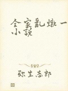 全家乱炖一锅烩小说封面