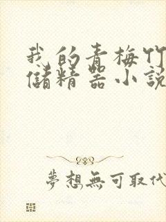 我的青梅竹马是储精器小说